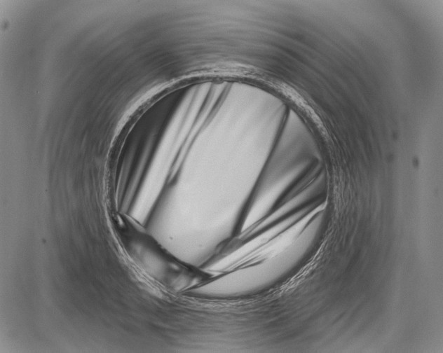 X0000081561085200702051143