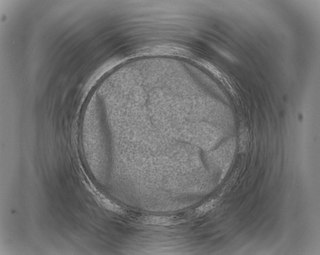 X0000081561086200702051143