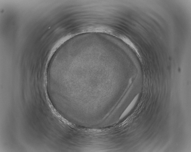 X0000081561088200702051143