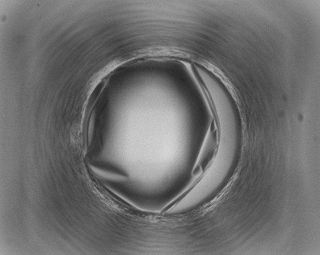 X0000081561089200702051143