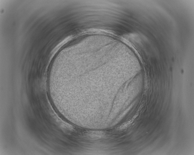 X0000081561090200702051143