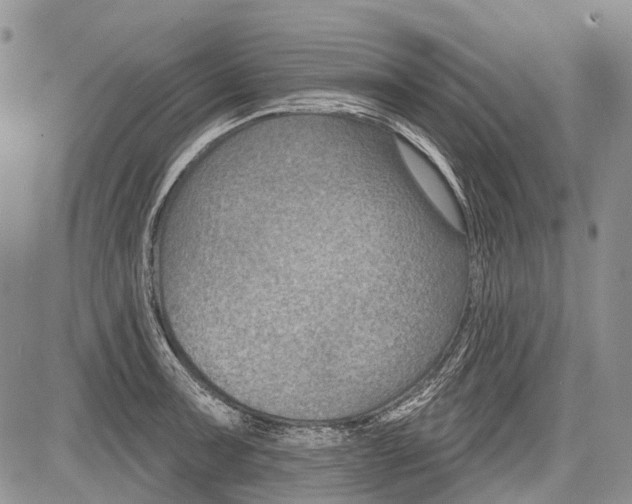 X0000081561091200702051143