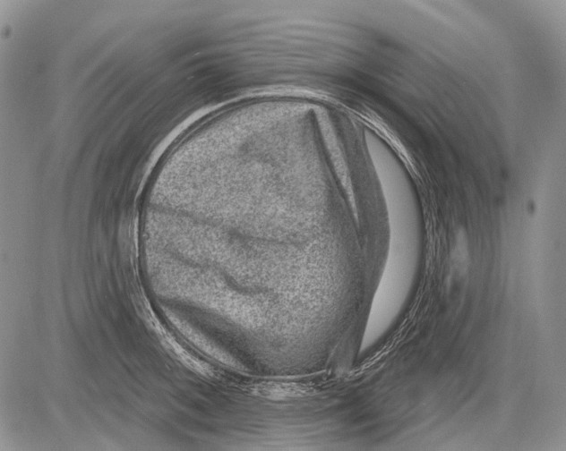 X0000081561092200702051143