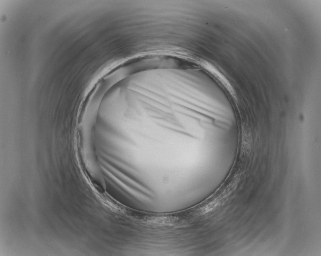 X0000081561093200702051143