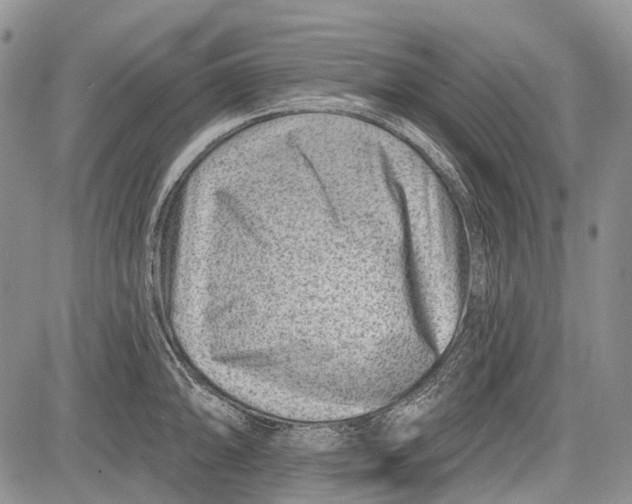 X0000081561094200702051143