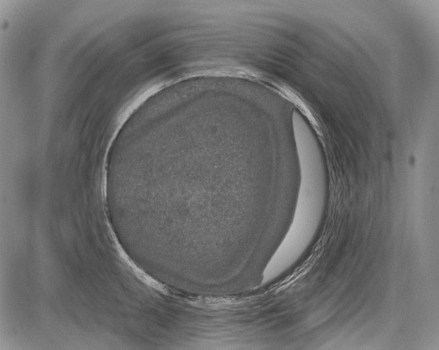 X0000081561095200702051143