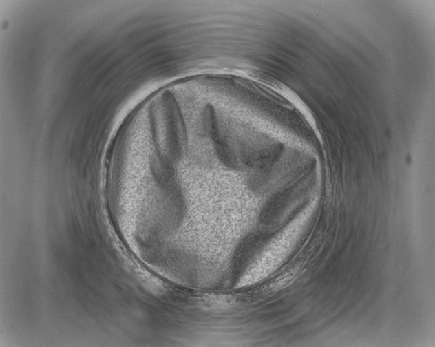 X0000081561096200702051143