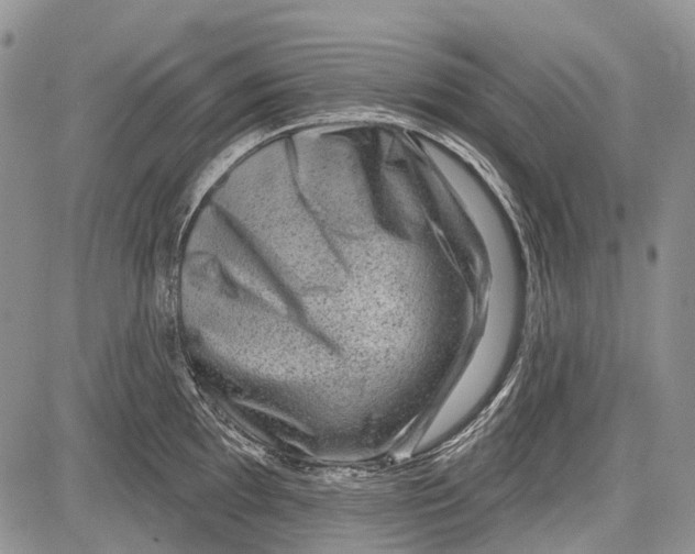 X0000081561097200702051143