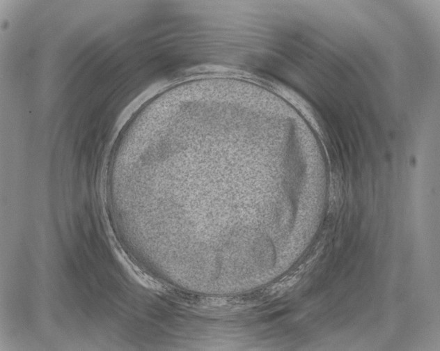 X0000081561098200702051143