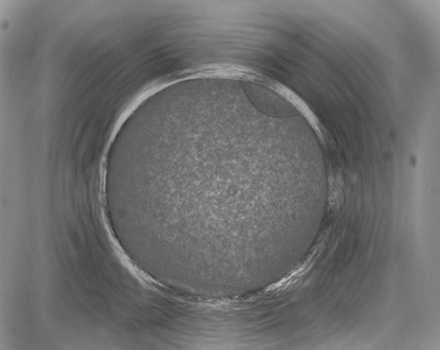 X0000081561099200702051143