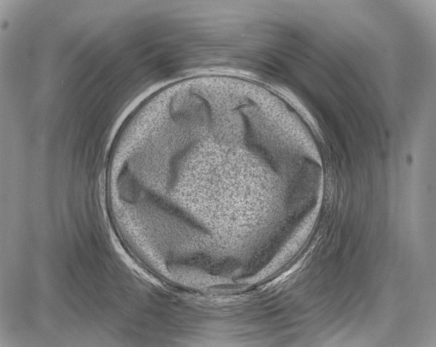 X0000081561100200702051143