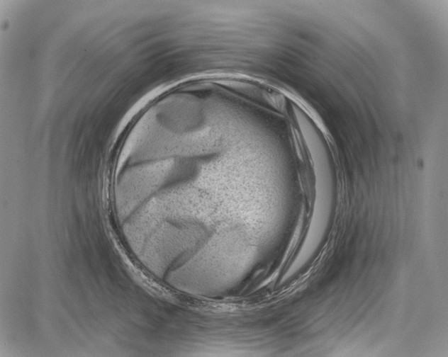 X0000081561101200702051143