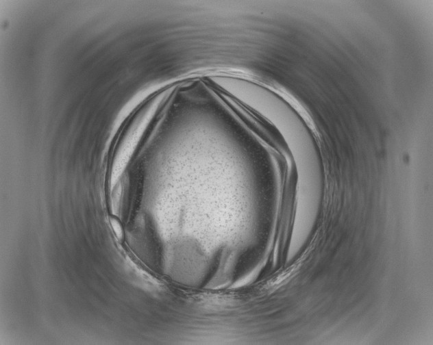 X0000081561102200702051143