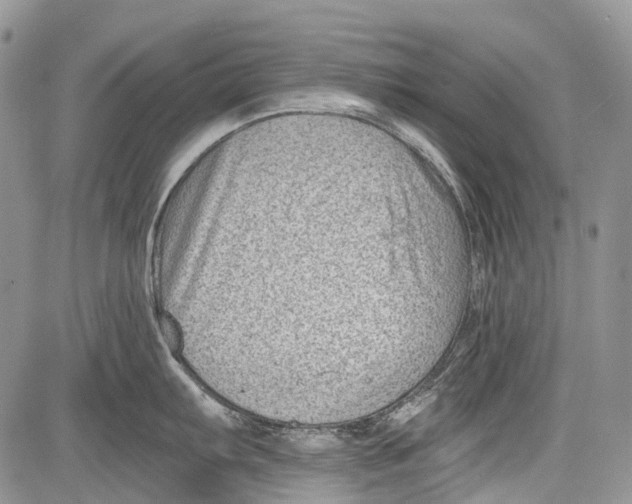 X0000081561103200702051143