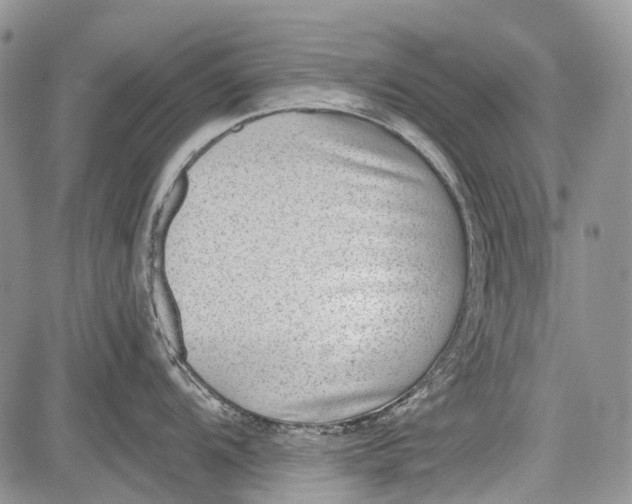 X0000081561104200702051143