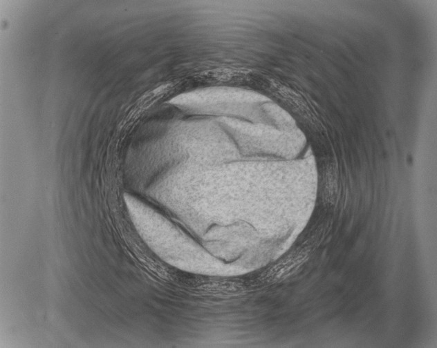 X0000081561105200702051142