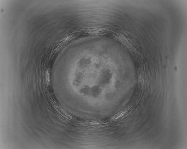 X0000081561106200702051142