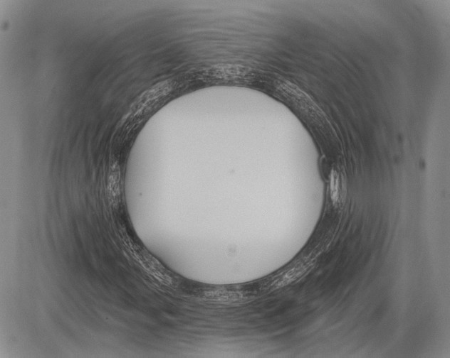 X0000081561107200702051142