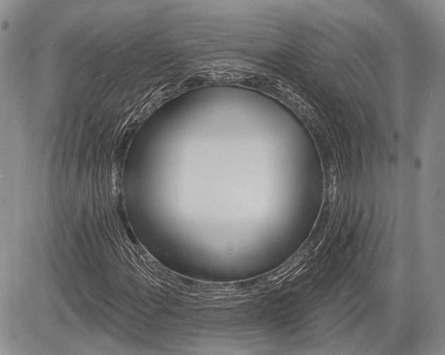 X0000081561108200702051142