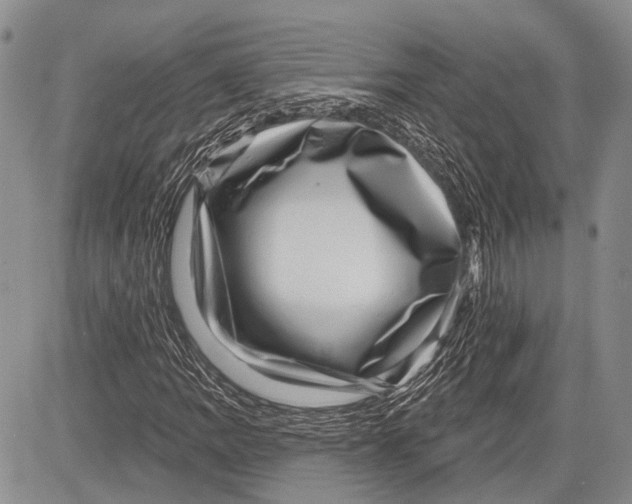 X0000081561109200702051142