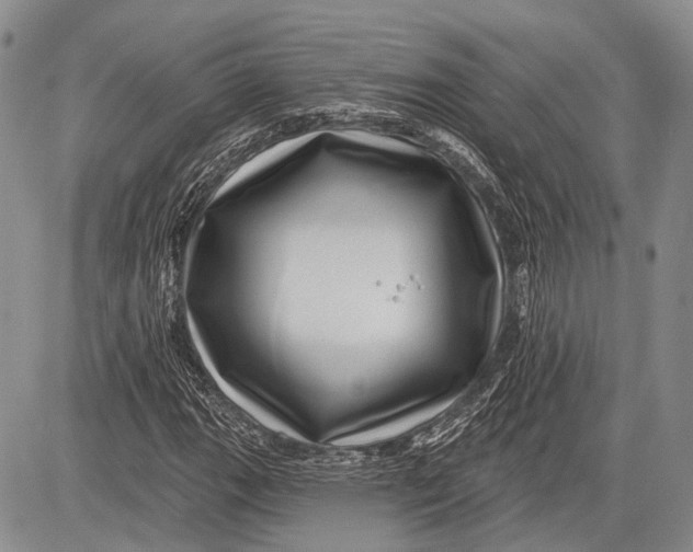 X0000081561111200702051142