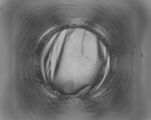 X0000081561112200702051142