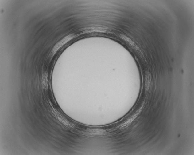 X0000081561113200702051142