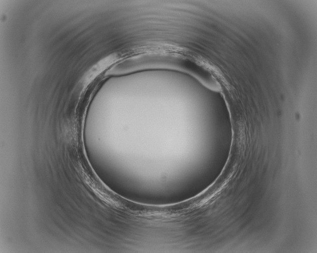 X0000081561114200702051142