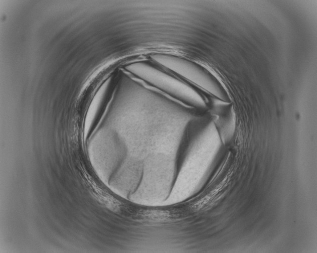 X0000081561115200702051142