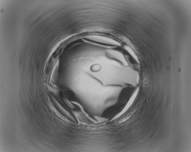 X0000081561116200702051142