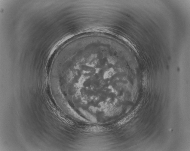 X0000081561117200702051142