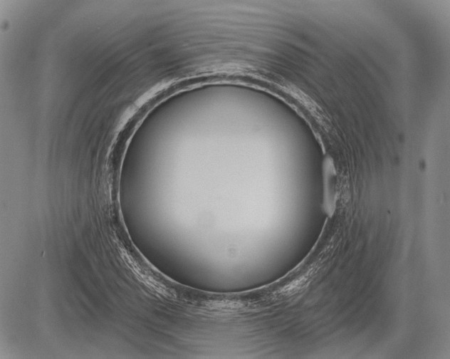 X0000081561118200702051142