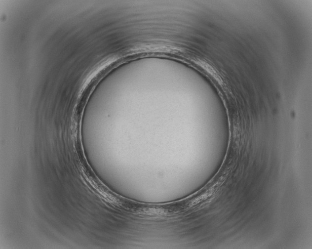 X0000081561119200702051142