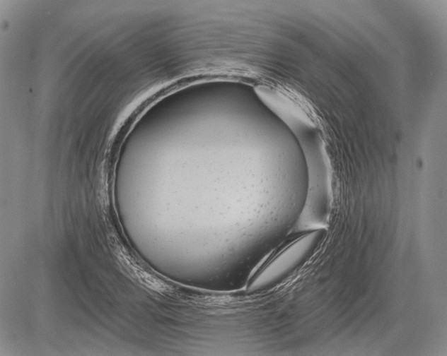 X0000081561120200702051142