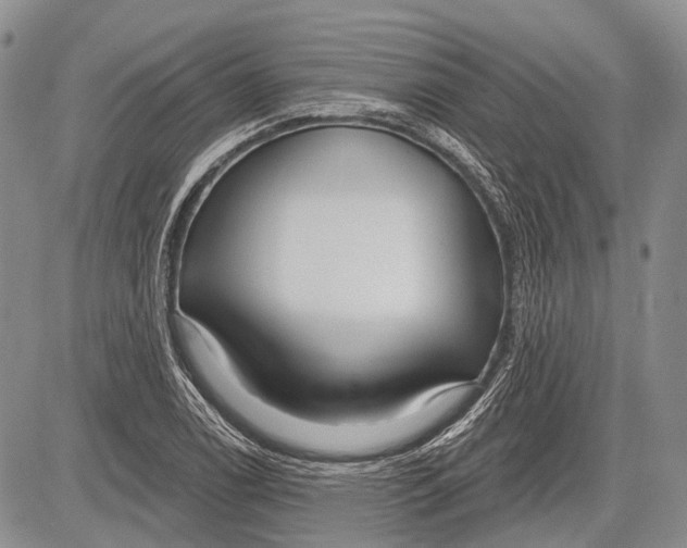 X0000081561122200702051142