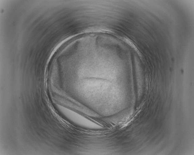 X0000081561124200702051142