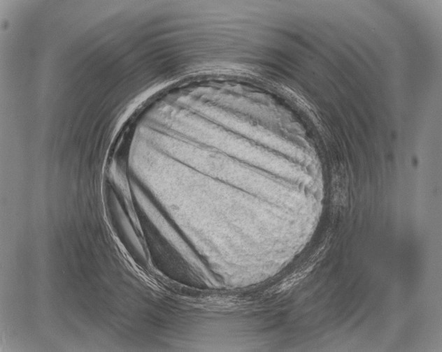 X0000081561125200702051142