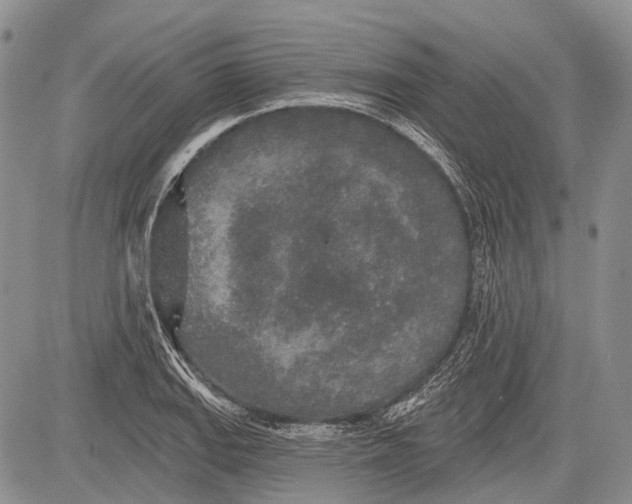 X0000081561127200702051142