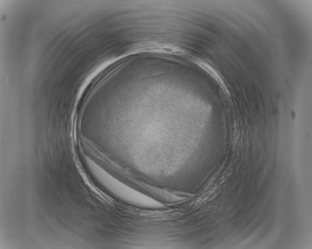 X0000081561128200702051142