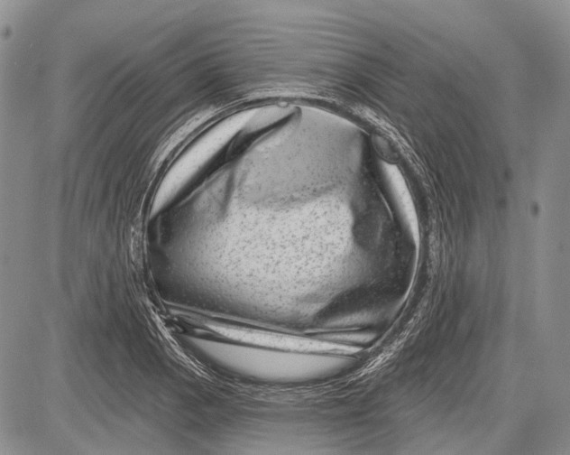 X0000081561129200702051142