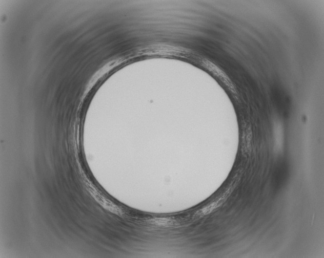 X0000081561130200702051142