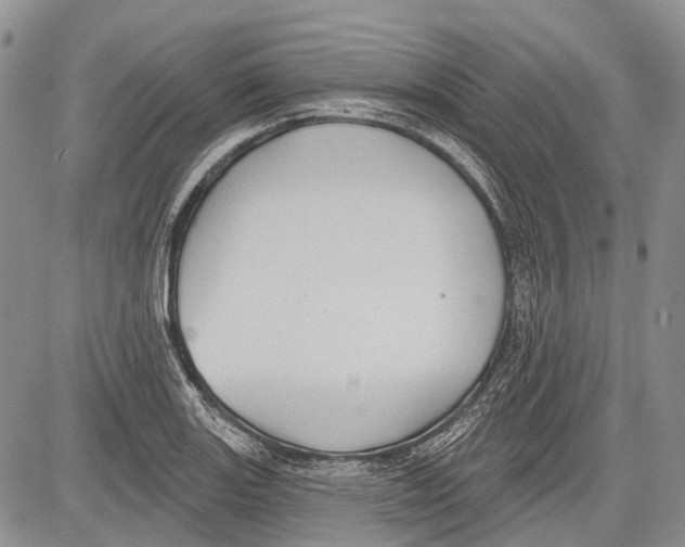 X0000081561131200702051142