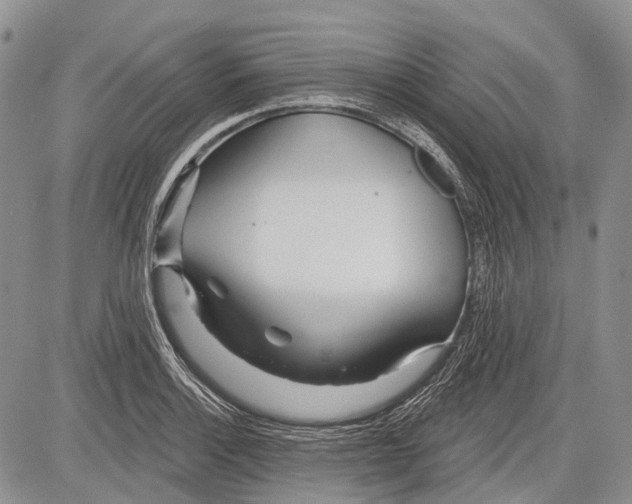 X0000081561132200702051142