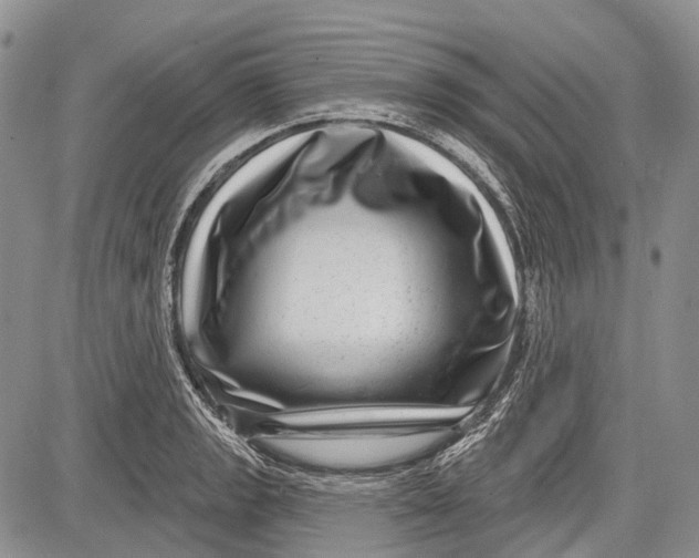 X0000081561133200702051142