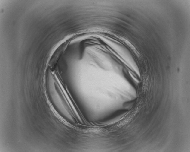 X0000081561134200702051142