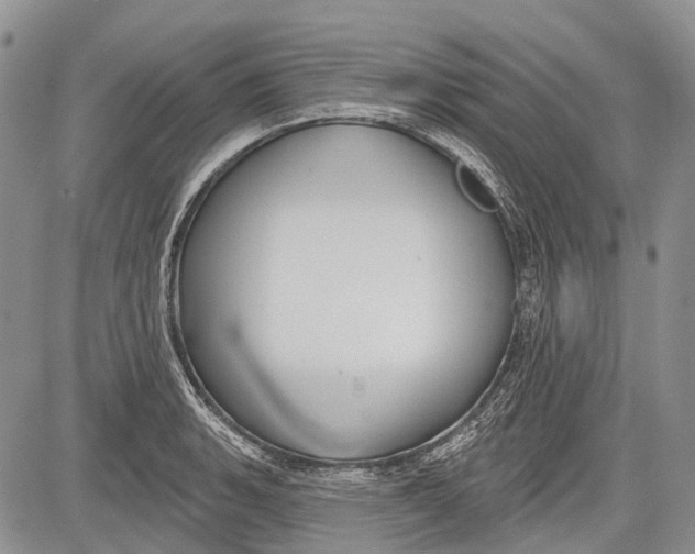 X0000081561135200702051142