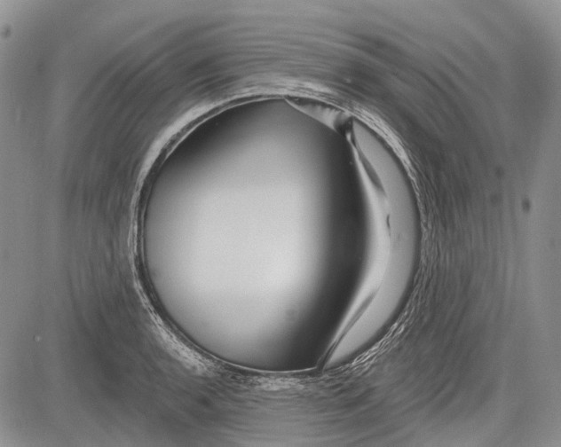 X0000081561136200702051142