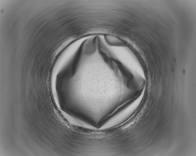 X0000081561137200702051142