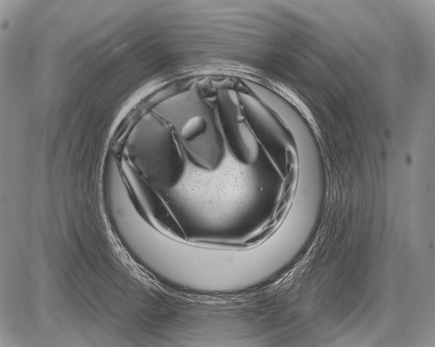 X0000081561138200702051143