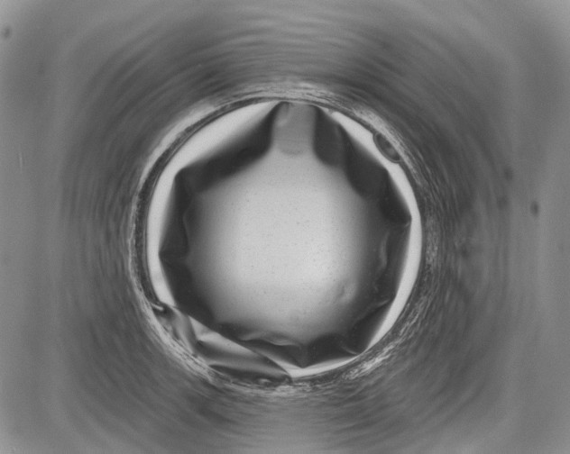 X0000081561139200702051143